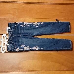 Lucky & Blessed Dark Blue Embroidered Jeans